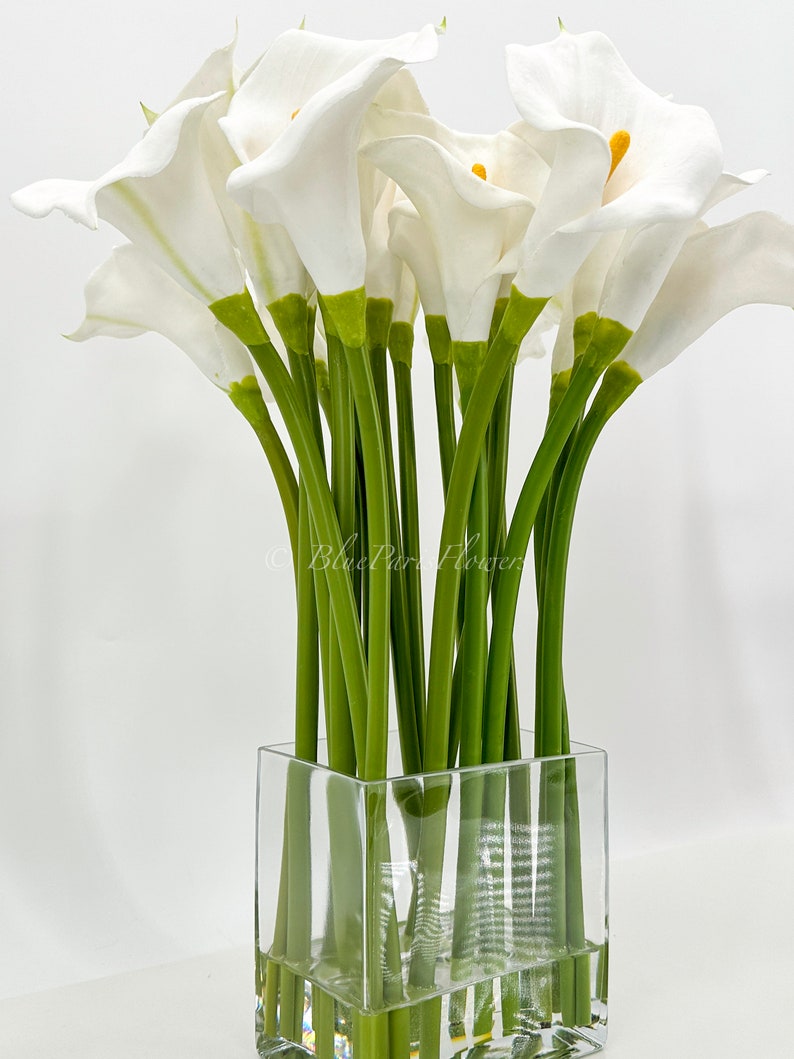 May include: A bouquet of white calla lilies arranged in a clear glass cube vase. The stems are green and the flowers are arranged in a symmetrical pattern.