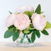 see more listings in the Peony section