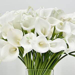 May include: A bouquet of white calla lilies arranged in a clear glass vase. The lilies are in full bloom and have a delicate, elegant appearance.