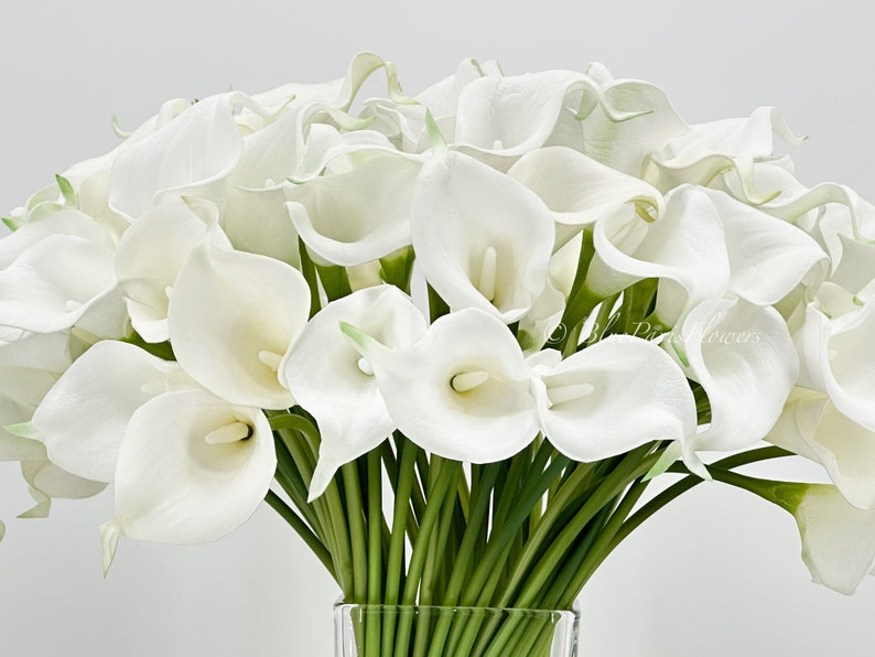 May include: A bouquet of white calla lilies arranged in a clear glass vase. The lilies are in full bloom and have a delicate, elegant appearance.