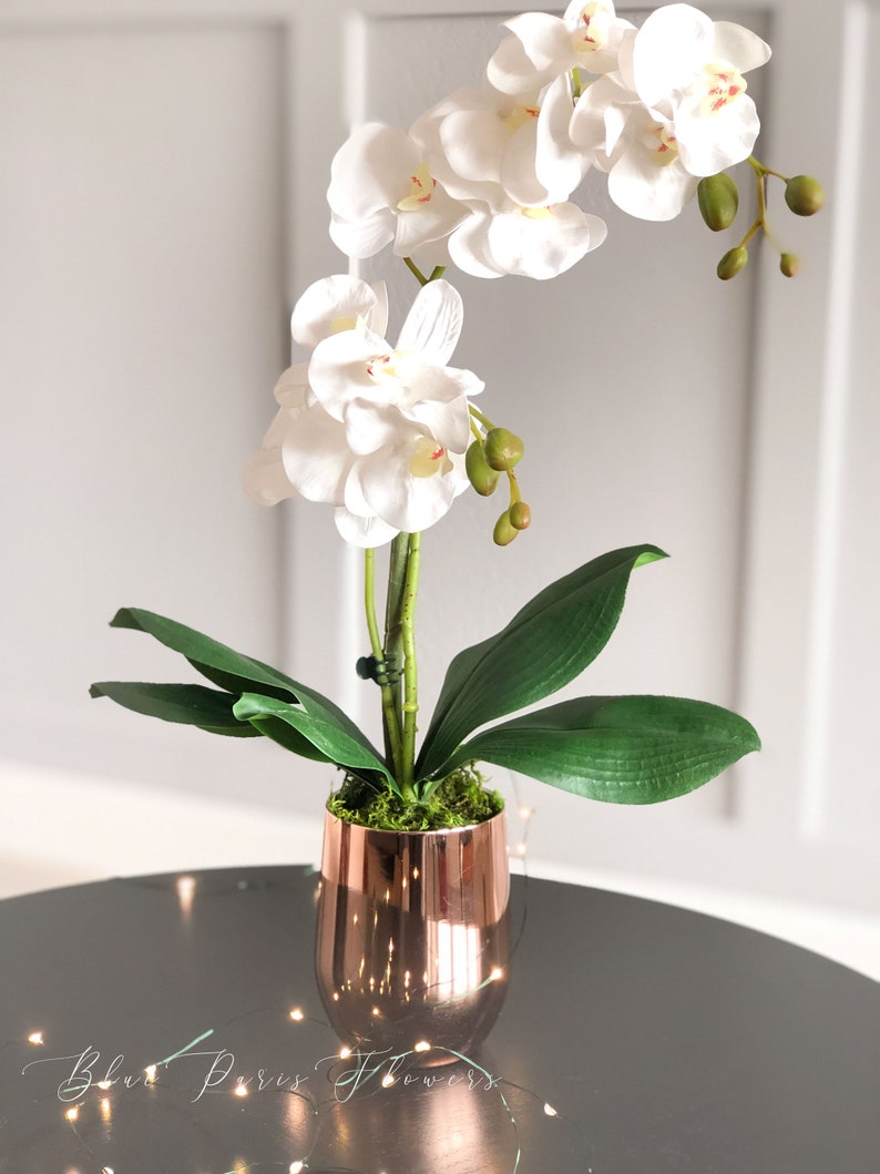 Faux White Double Stems Phalaenopsis Orchid Arrangement Real Etsy