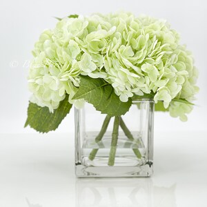 May include: A bouquet of light green hydrangeas in a clear glass cube vase. The vase is filled with water and the stems of the flowers are visible.