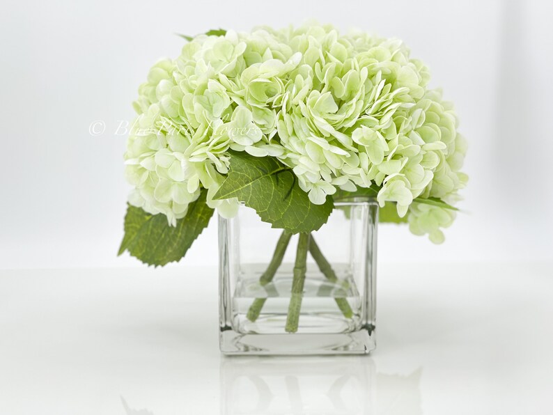 May include: A bouquet of light green hydrangeas in a clear glass cube vase. The vase is filled with water and the stems of the flowers are visible.