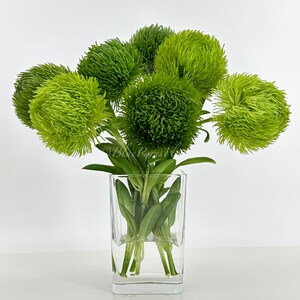 Green Real Touch Dianthus Arrangement: Modern Floral Centerpiece - Etsy