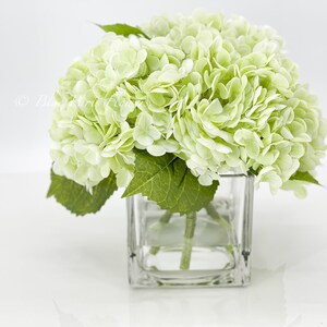 May include: A bouquet of light green hydrangeas in a clear glass vase. The vase is square and has a simple design.