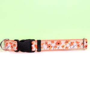 Orange Poppy Dog and Cat Collar – Floral Adjustable Pet Collar | Breakaway Cat Collar or Durable Printed Webbing Dog Collar