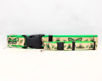 Lunar moth , Green dog collar, Moth and moon collar, Breakaway cat collar, Lime green cat collar, Lunar moth dog collar