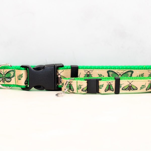 Lunar moth , Green dog collar, Moth and moon collar, Breakaway cat collar, Lime green cat collar, Lunar moth dog collar