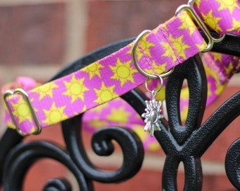 Sun Princess,Rapunzel dog collar,Disney Dog Collar, Sun dog collar, Princess dog collar, Cat collar,