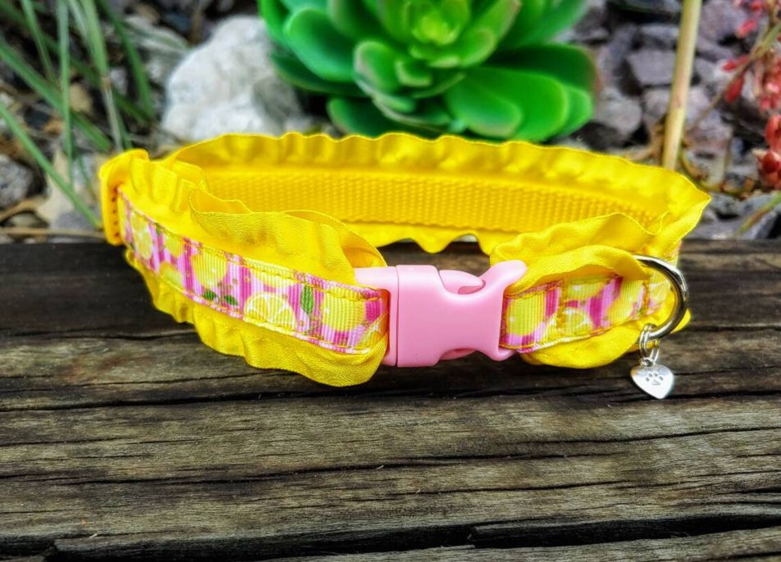 Lemon dog collar Fruit dog collarPink stripe Lemonade Etsy