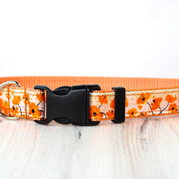 Orange Cat Collar Etsy