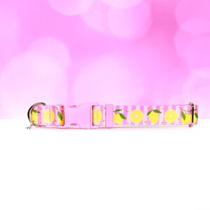 Lemon Pet Collar – Pink Stripe Dog Collar – Adjustable Summer Collar for Cats & Dogs