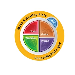 MyPlate Plate Plastic - Nutrition Education Store Exclusive Design - 1 Plate With Free Shipping
