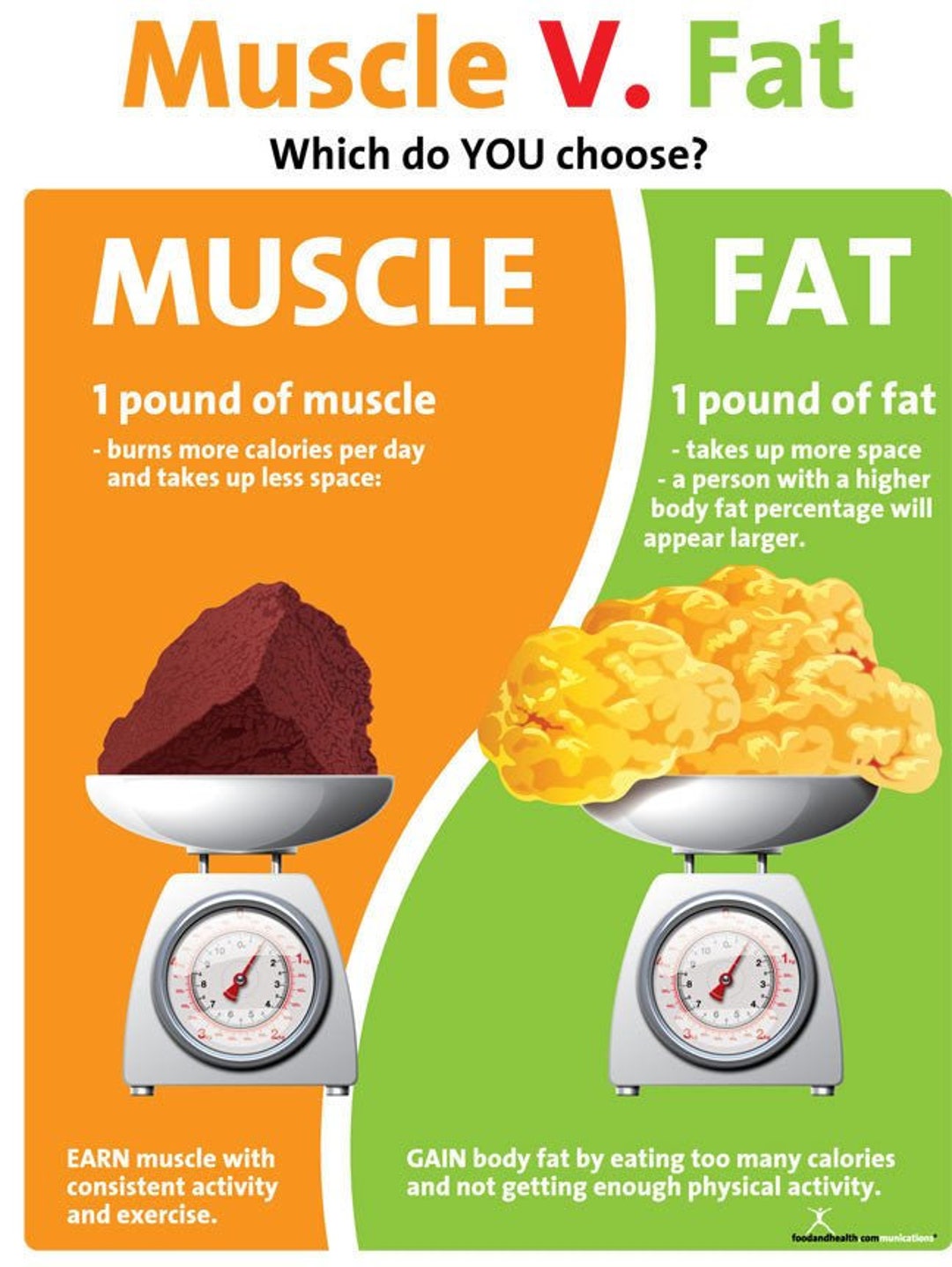Muscle Versus Fat Poster 1 Pound Muscle Versus 1 Pound Fat Etsy muscle-versus-fat-poster-1-pound-muscle-versus-1-pound-fat-etsy