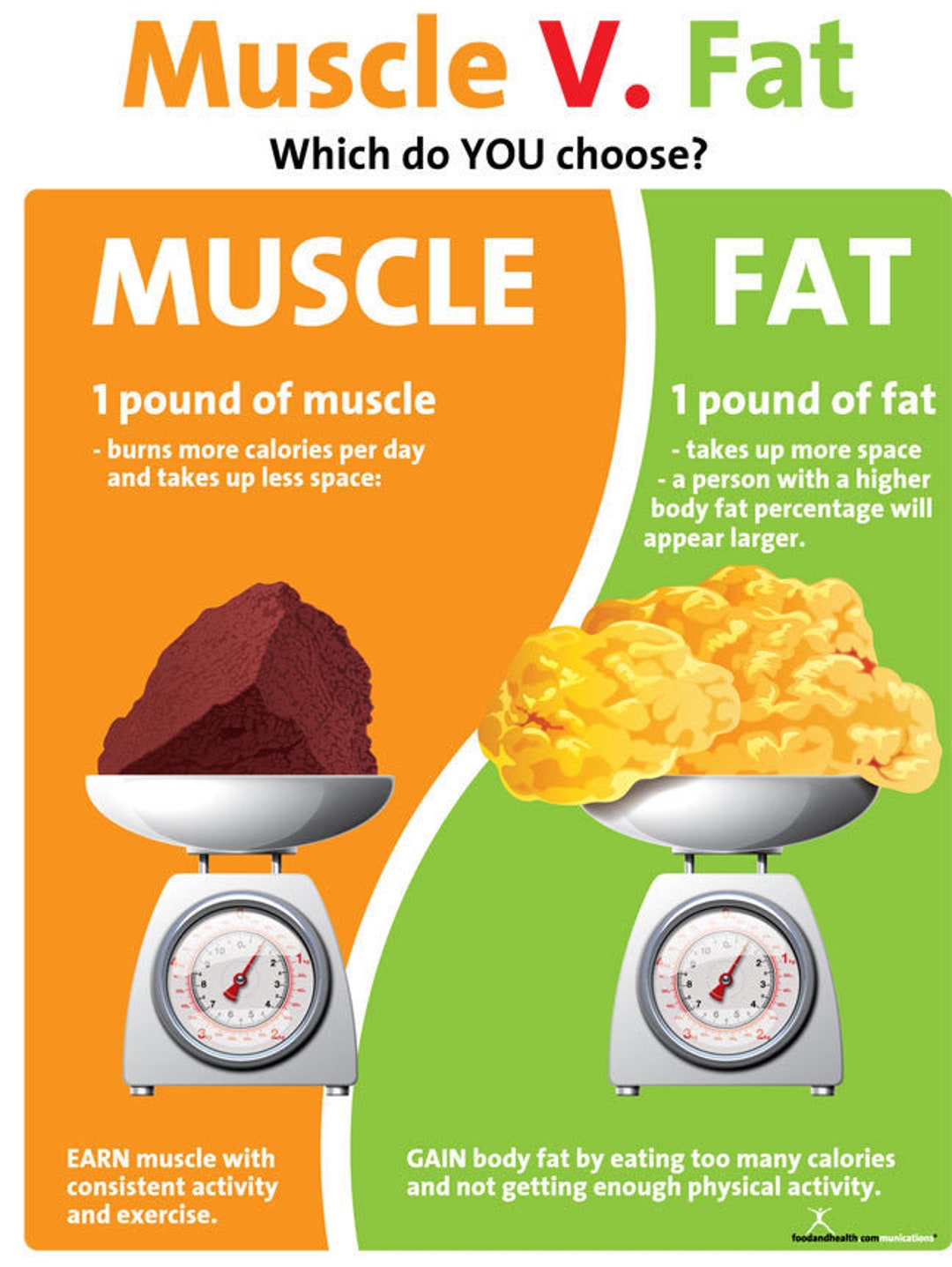 Muscle Versus Fat Poster 1 Pound Muscle Versus 1 Pound Fat Exercise 