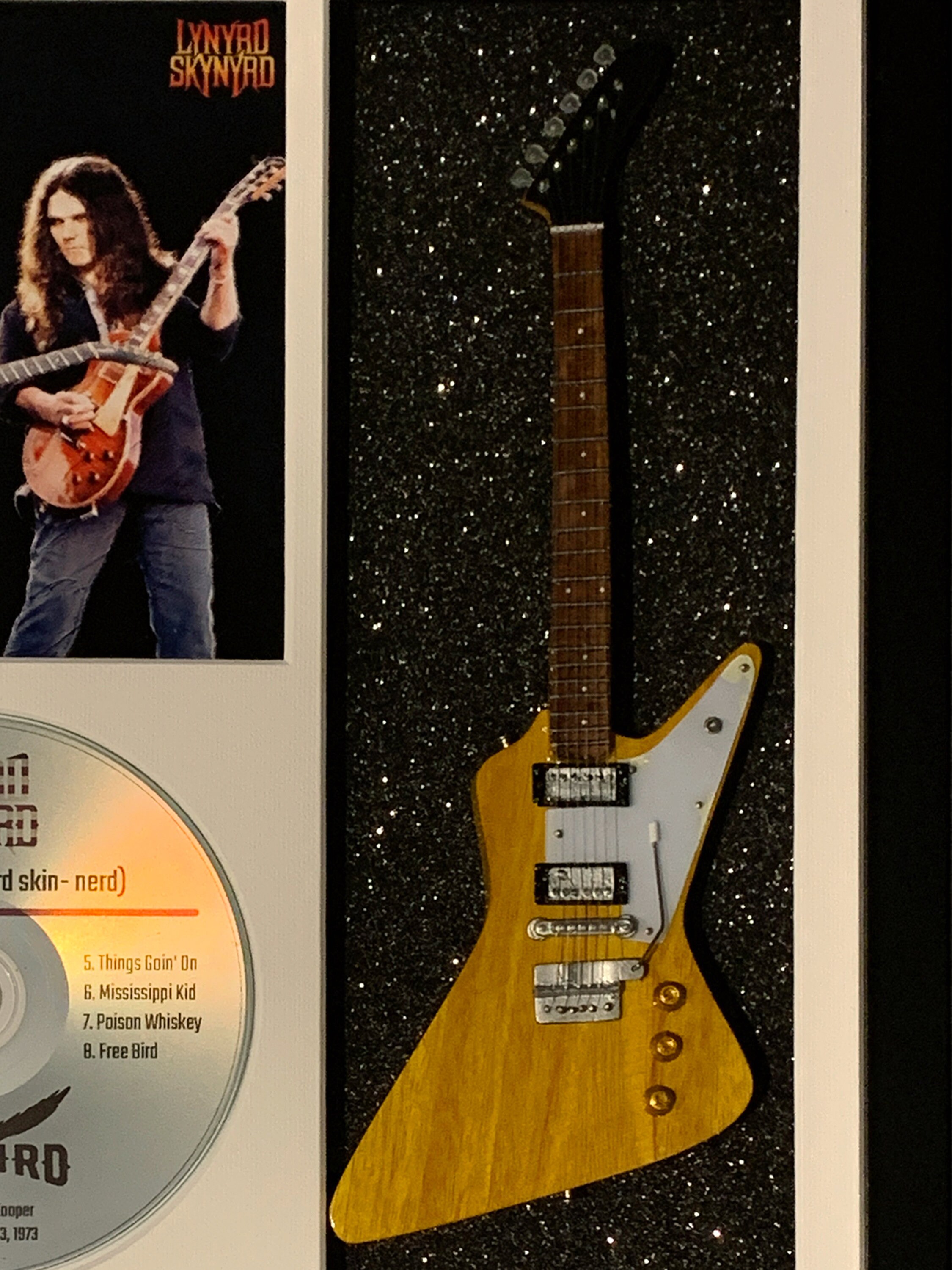 Allen Collins & Gary Rossington (Lynyrd Skynyrd) guitar tribute shadow
