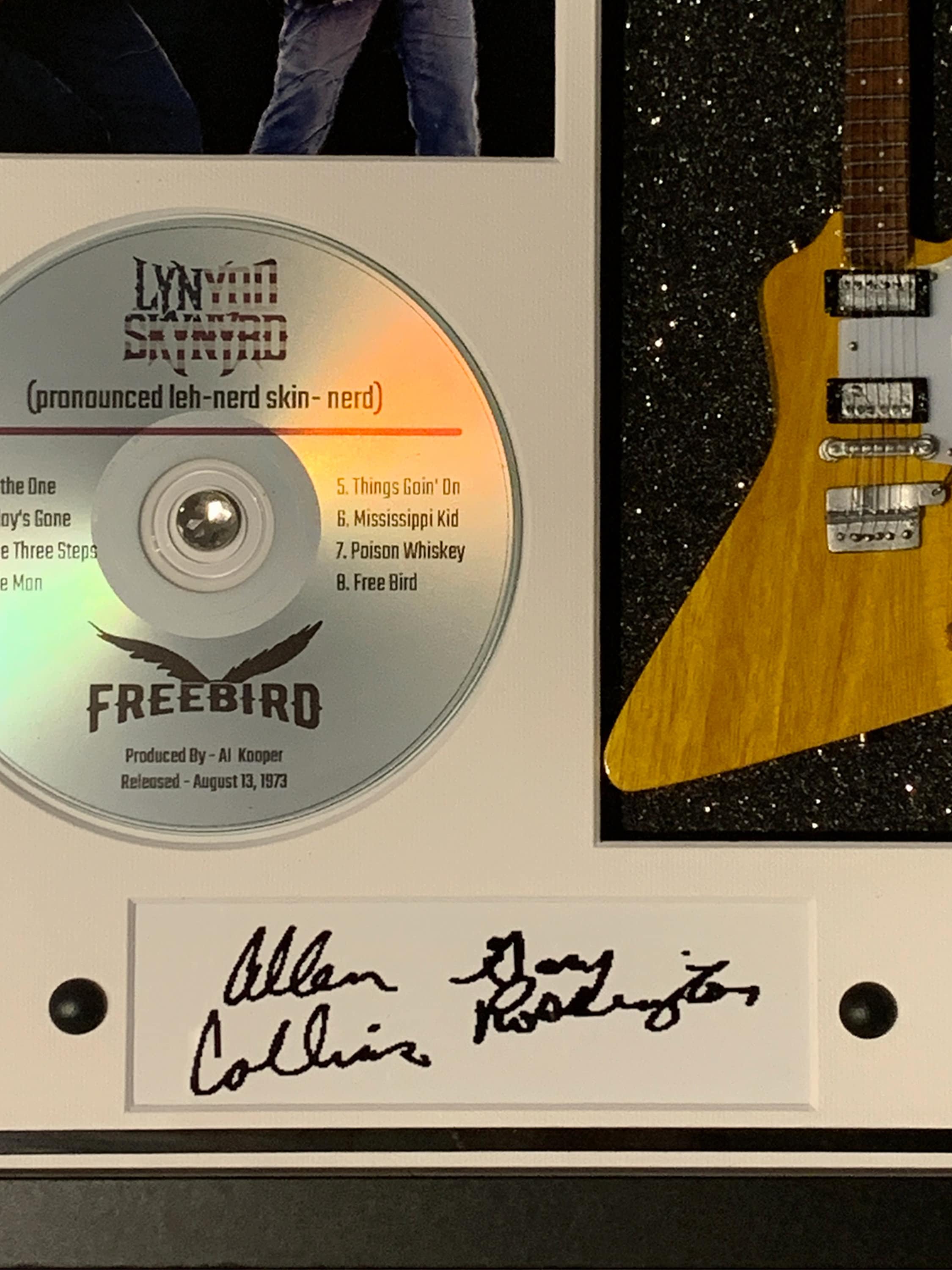 Allen Collins & Gary Rossington (Lynyrd Skynyrd) guitar tribute shadow