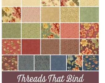 DESTASH:  Threads that Bind jelly roll by Blackbird Designs
