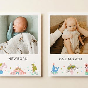 Circus 1st Birthday Photo Banner: Monthly Milestone Display (Digital Download)