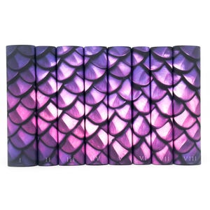 Drakridarens skyddsomslag: Bokomslag inspirerade av fjärde vingen (PDF)