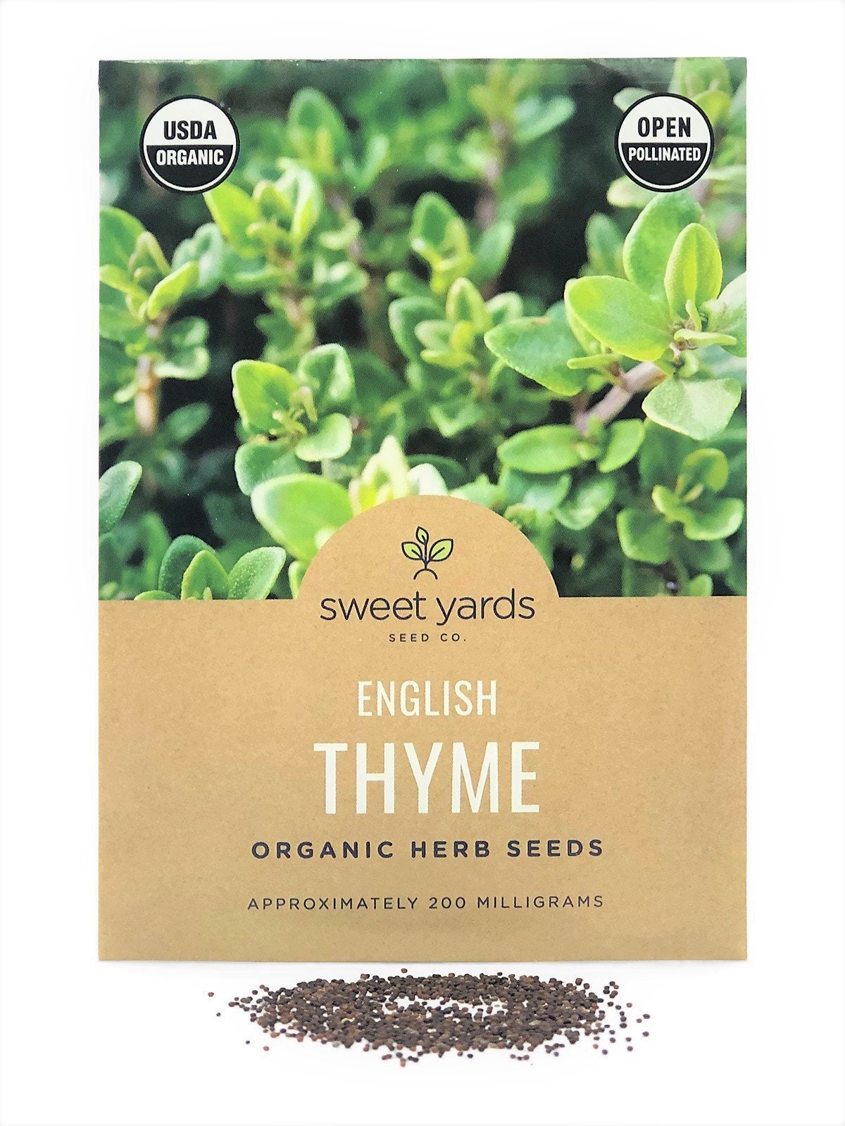 English Thyme Seed Organic Thyme Seeds Open Pollinated Non Etsy UK