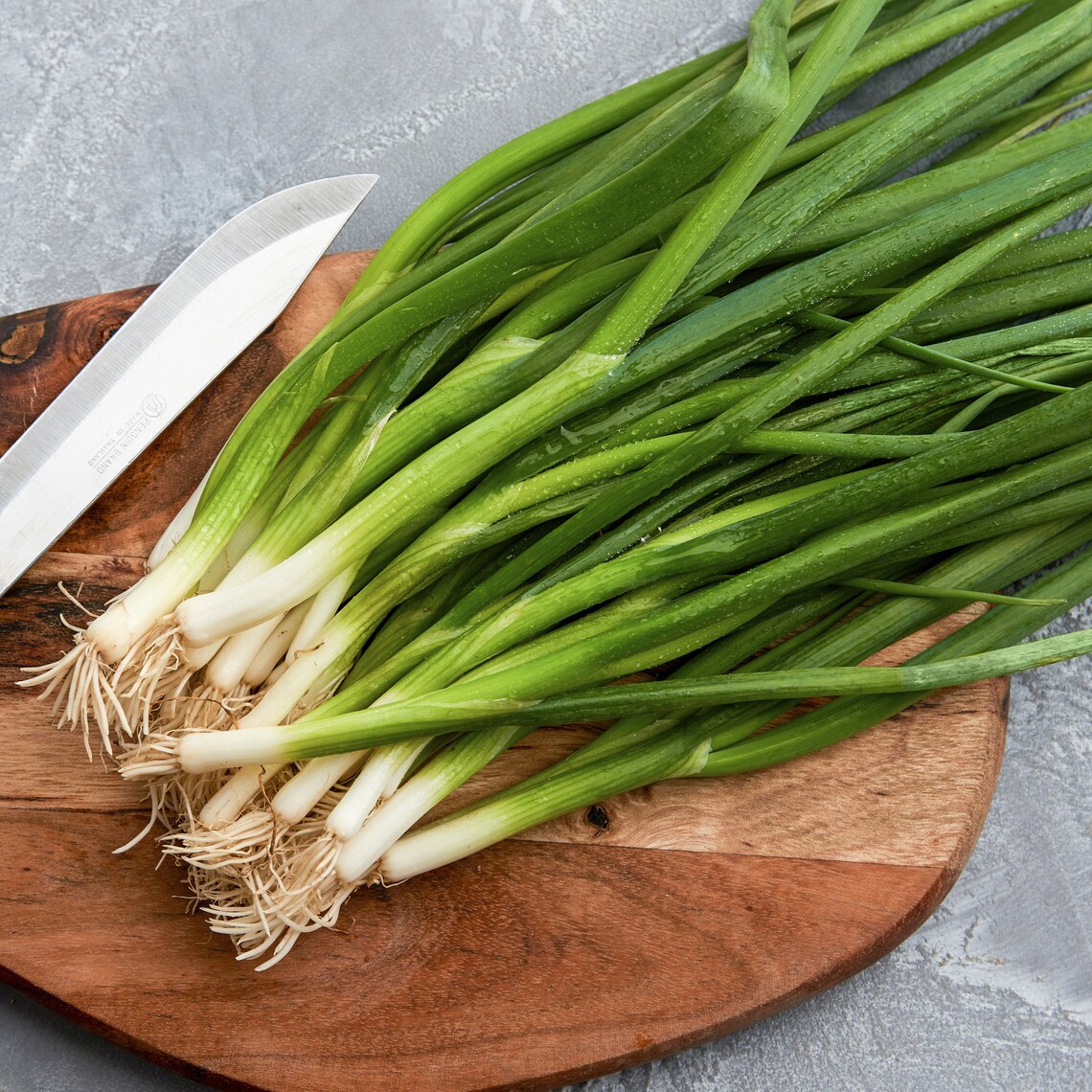 Organic Green Onion Seeds Parade Green Onion Seeds Open Etsy