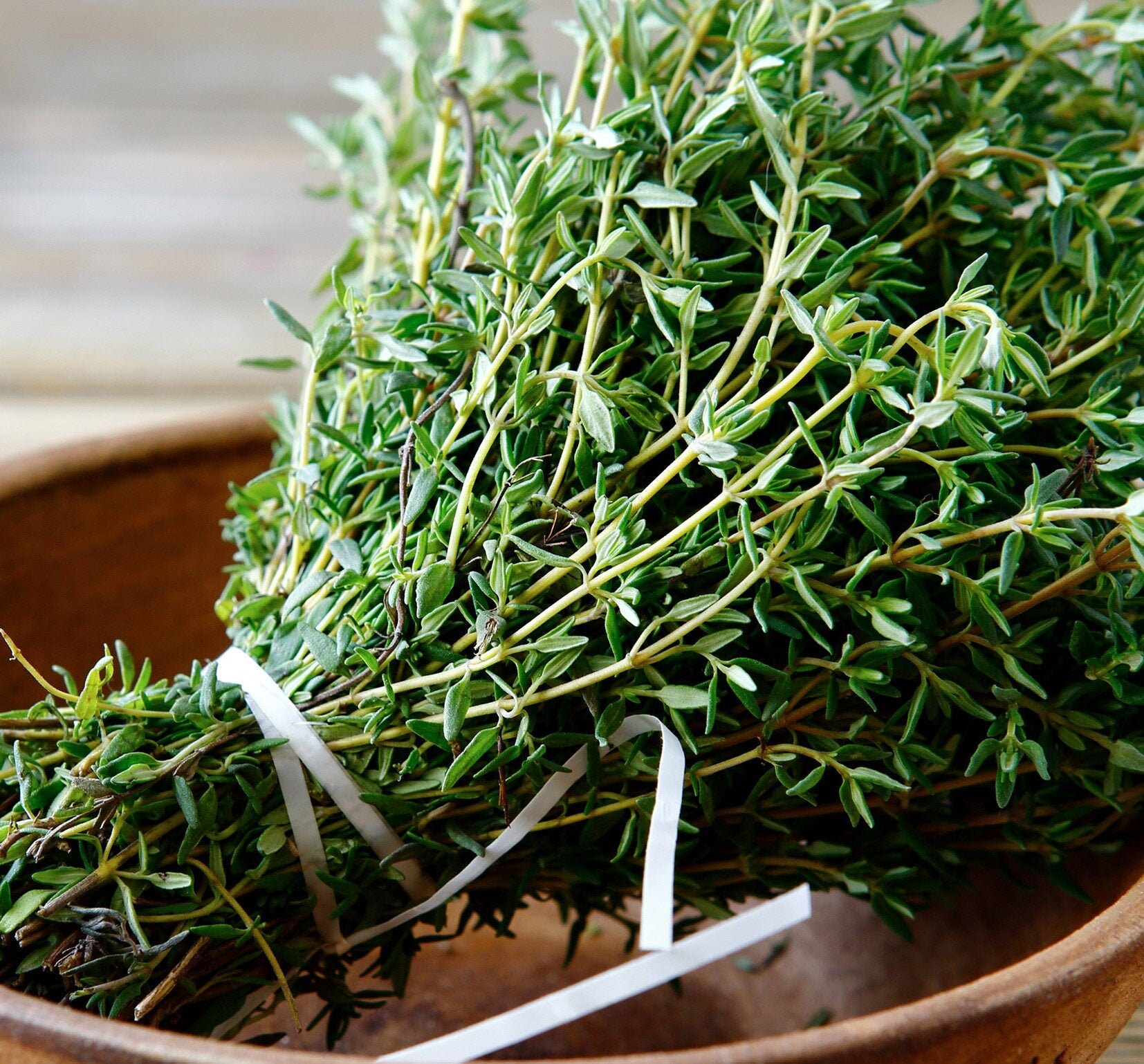 English Thyme Seed Organic Thyme Seeds Open Pollinated Non Etsy UK