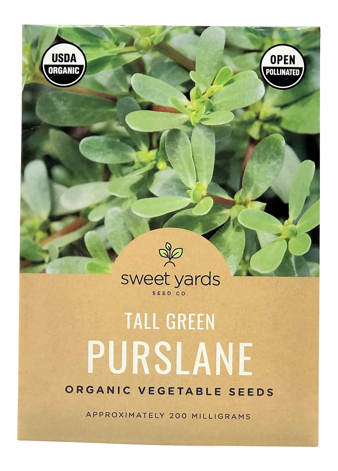 Organic Purslane Seeds Tall Green Purslane Seeds Open Etsy