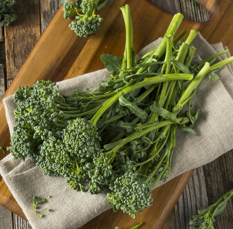 De Cicco Broccoli Seed Organic Broccoli Seeds Heirloom Etsy