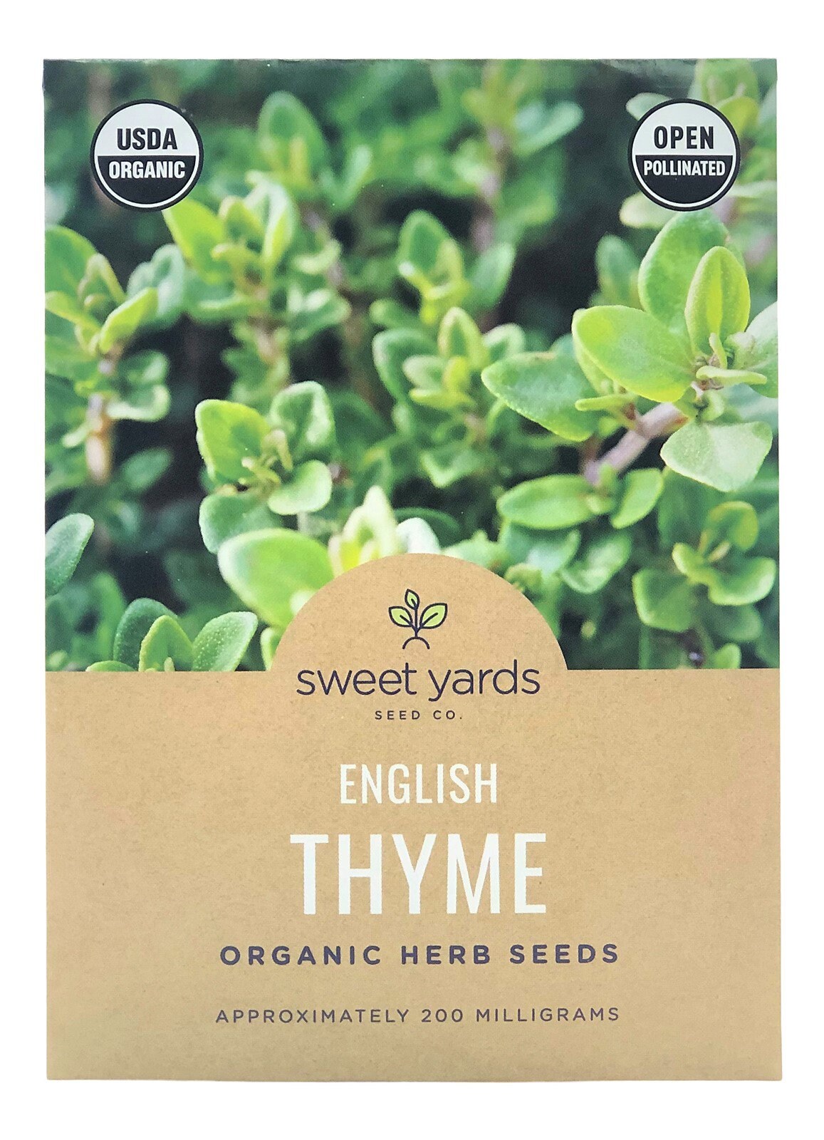 English Thyme Seed Organic Thyme Seeds Open Pollinated Non Etsy