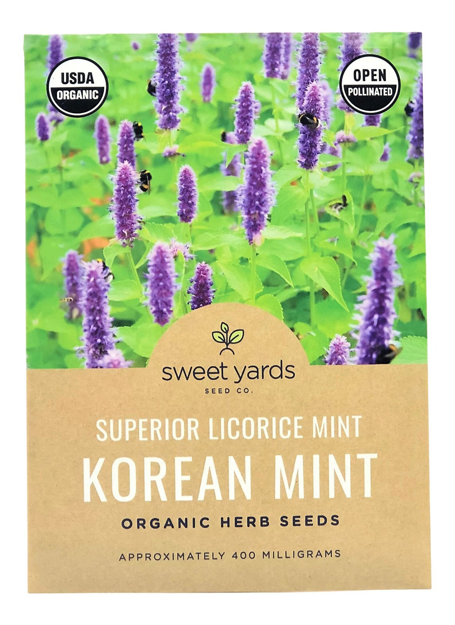 Organic Korean Mint Seeds Superior Licorice Mint Seeds Open Etsy