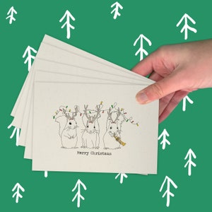 Lot de 6 cartes de voeux illustrées avec animaux / lot de 6 / respectueux de l'environnement