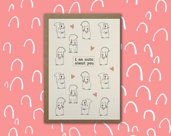 I am Nuts About You Valentines Card/ Illustrated A6 Squirrel Greeting Card / Eco Friendly