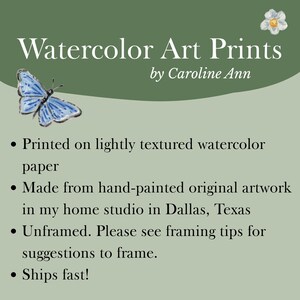 May include: An advertisement for watercolor art prints by Caroline Ann. The text is in white, with a blue butterfly and a white flower illustration. The text states the prints are made from hand-painted original artwork in Dallas, Texas.