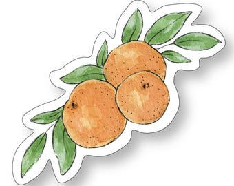 Pegatina de racimo de naranjas en acuarela: Vinilo adhesivo de frutas cítricas