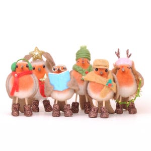 Op de afbeelding: Zes vilten roodborstbeeldjes, elk met een uniek winteraccessoire. De roodborstjes hebben oranje borsten, bruine lichamen en glinsterende bruine laarzen. Accessoires zijn onder meer oorbeschermers, een ster, een bril, een boek, een sjaal, een hoed en een slinger.