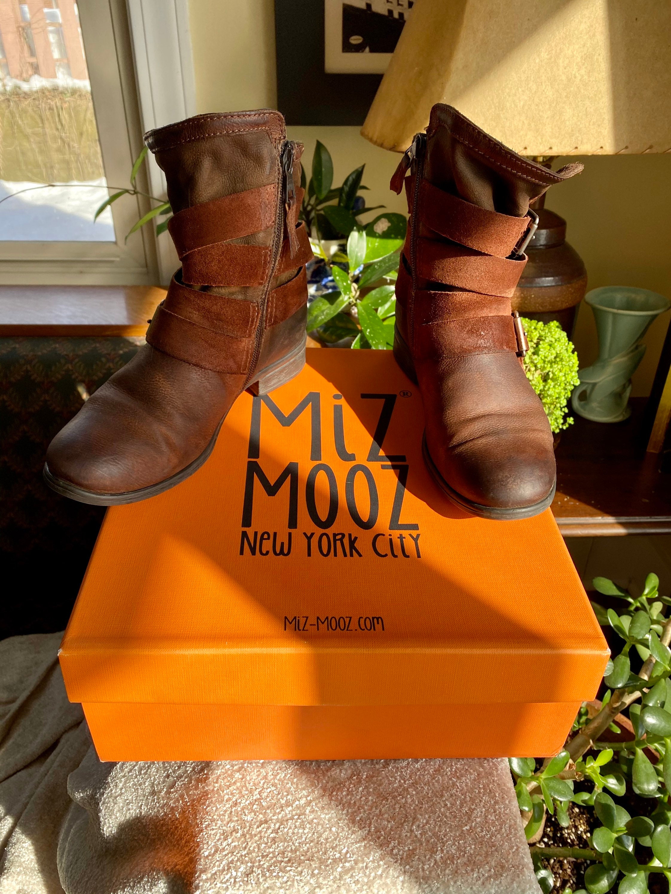 Miz mooz nyc new arrivals