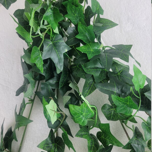 Mini Ivy Garden Etsy