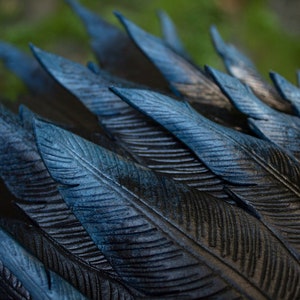 May include: Close-up of a dark blue and black carved wooden sculpture of feathers. The feathers are arranged in a fan shape and have a textured surface.