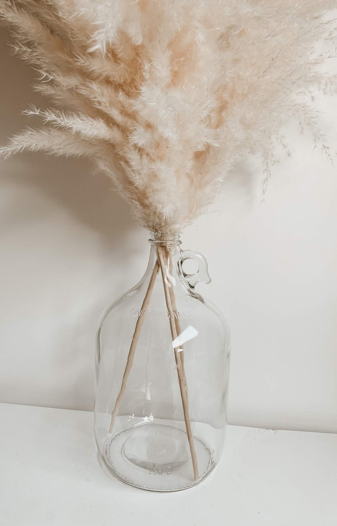 JUG VASE One Gallon Glass Vase for Pampas Grass Boho Home Etsy