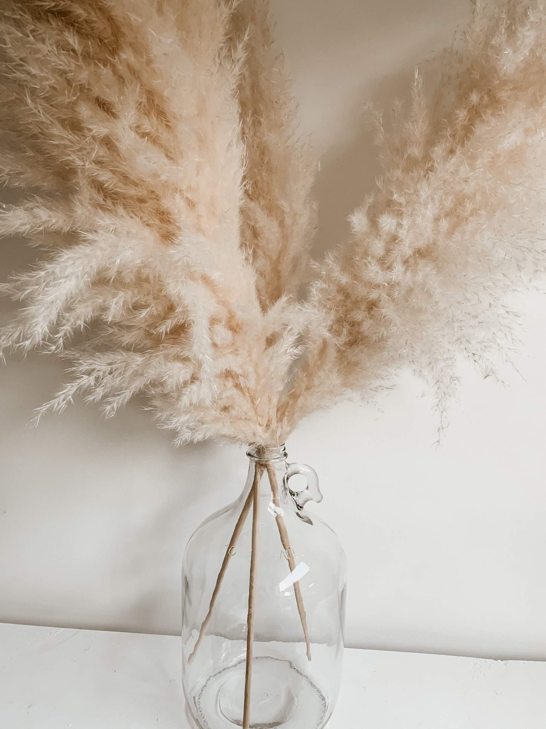 JUG VASE - One Gallon Glass Vase for Pampas Grass Boho Home Decor- USA