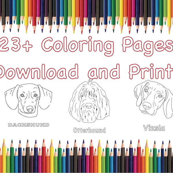 23 Dog Breeds Coloring Pages, Printable Kids Coloring Pages, A-Z Dog Breeds, For Teachers, For Dog Lovers, Learn and Color, Digital download