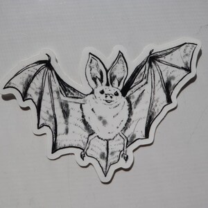 Bat Sticker, Halloween Sticker, Black and White, Waterproof ...