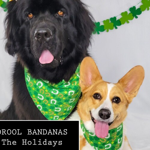 DOG DROOL BANDANAS the Plaids Etsy