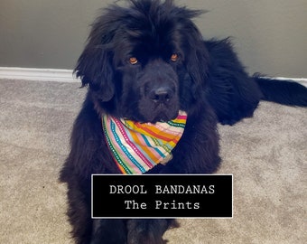 dog drool bandana