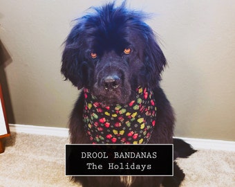 dog drool bandana
