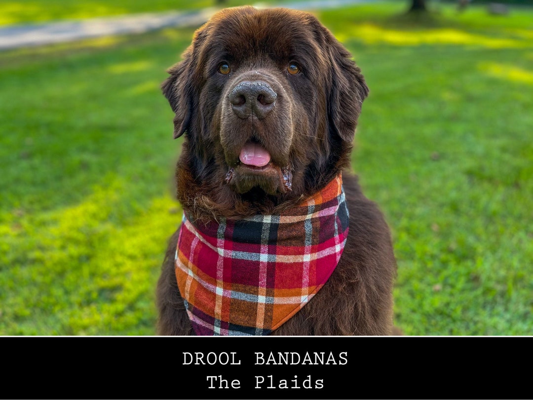 DOG DROOL BANDANAS the Plaids Etsy