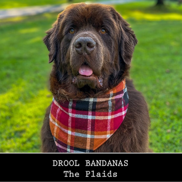 BANDANAS DOG DROOL - Les carreaux