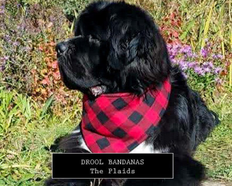 DOG DROOL BANDANAS the Plaids Etsy