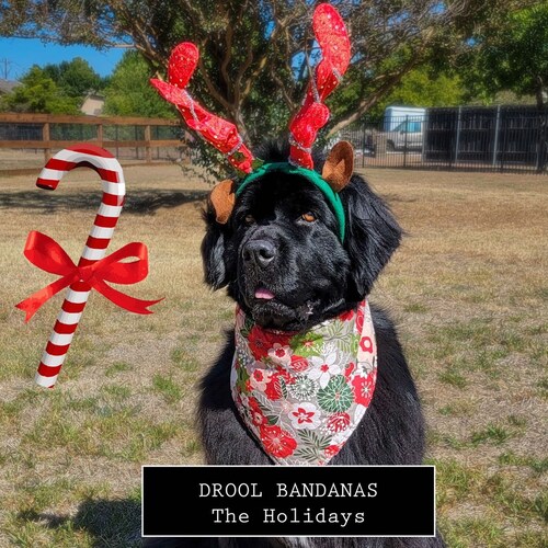 DOG DROOL BANDANAS the Plaids Etsy